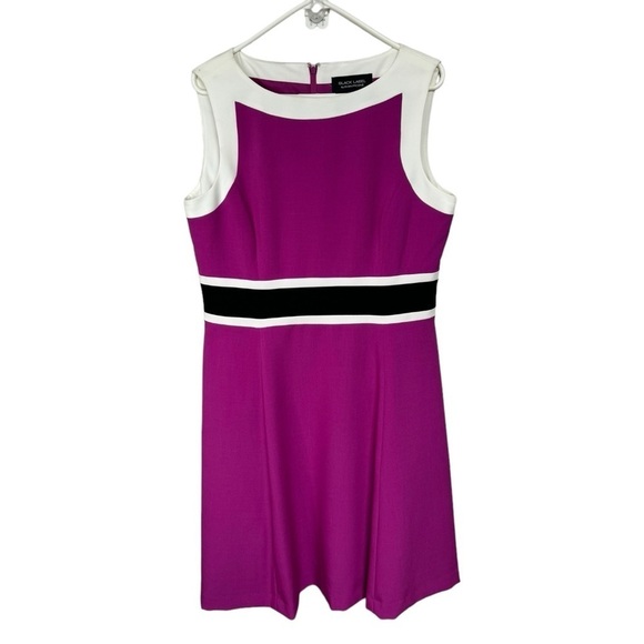 Black Label Evan Picone Magenta Colorblock Sleeveless A-line Midi Dress, 12 - Picture 1 of 8